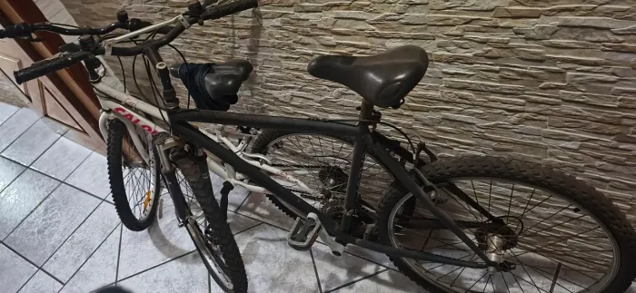 Vendo 2 bicicletas , uma Caloi Ceci com cestinha e outra comum , as duas com marchas .
