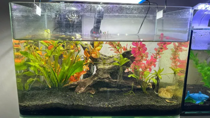 Aquário completo 16 litros