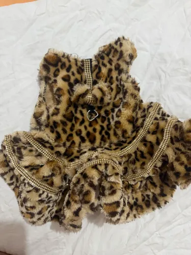 Roupa para cachorro e pijama