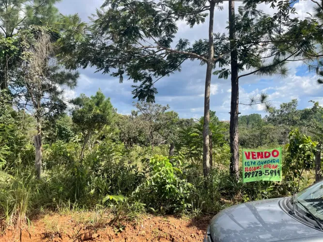 Vendo chácara 10.000m Pato Selvagem Águas Lindas