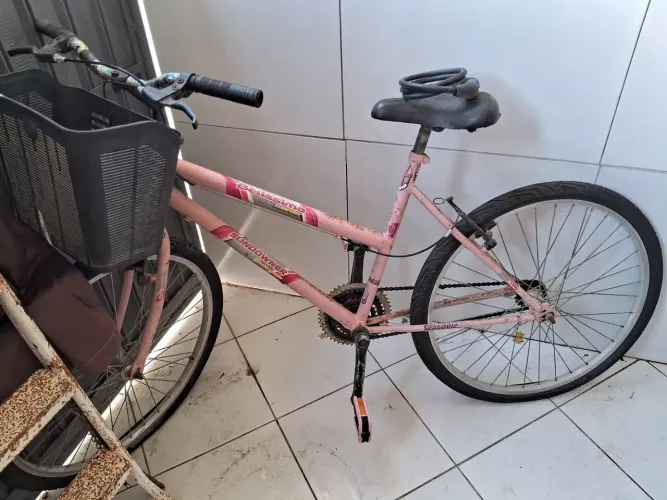 Bicicleta