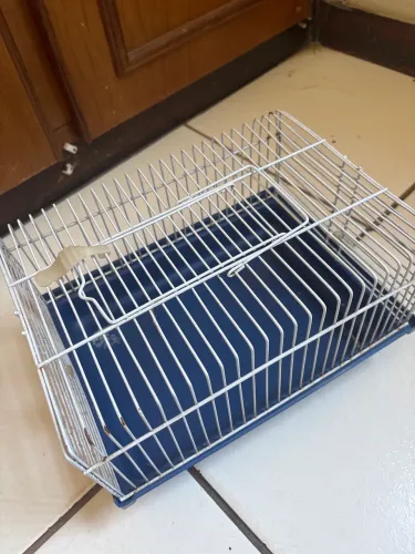 Casinha de hamster