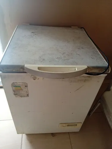 Freezer horizontal