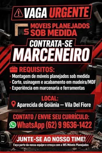 WS montagem