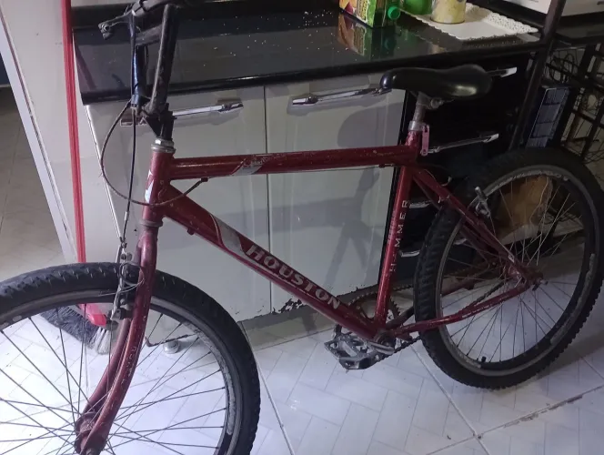 Bicicleta