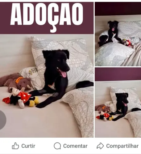 Doa - se femea linda ..