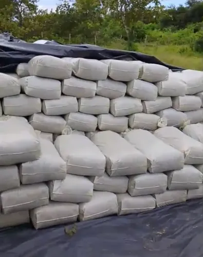 Silagem de Milho Ensacada em Paraipaba 