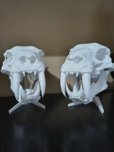 RÉPLICA 3D DO TIGRE DENTE DE SABRE