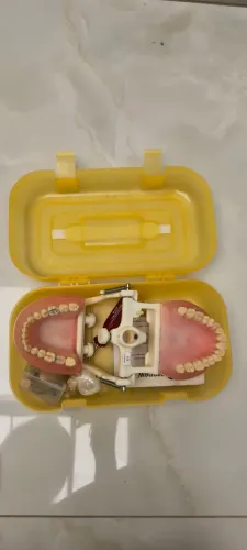 Manequim Pronew Dentistica + dentes extras.