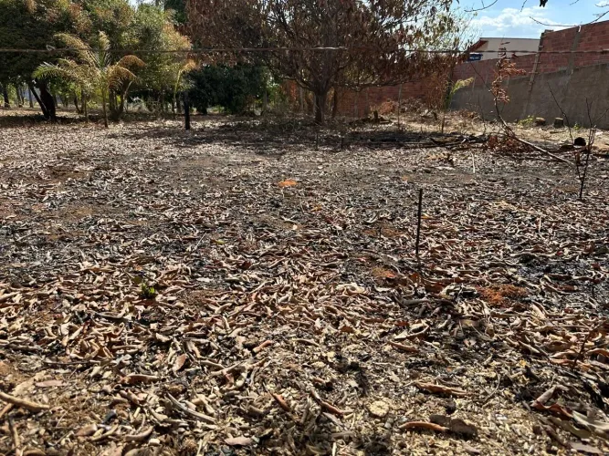 Lote em Aragoiania