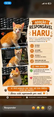 Adoção responsável