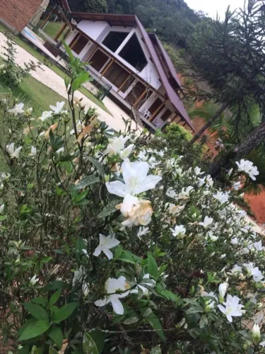 Sitio com 8,9 ha para quem tem bom gosto encontra-se a 24 km de Balneário Camboriú