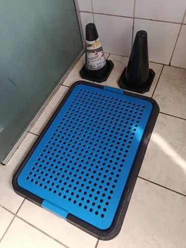 Sanitario para cães e dois cones educadores 