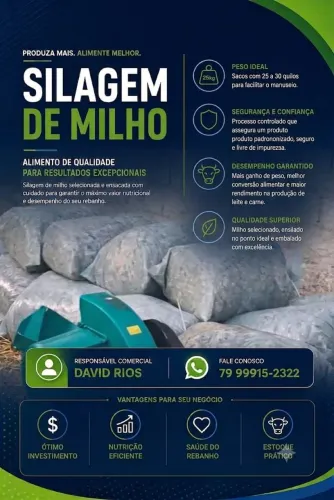 Silo de Milho ?