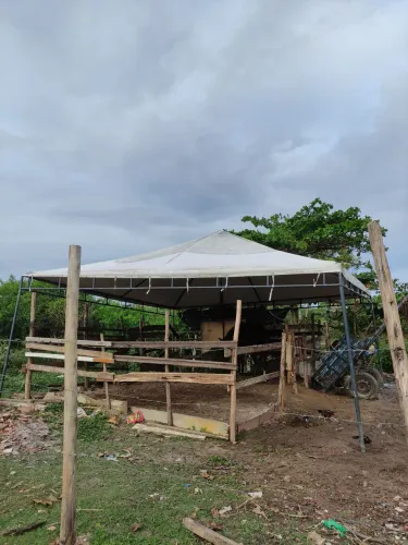 Tenda 6por6