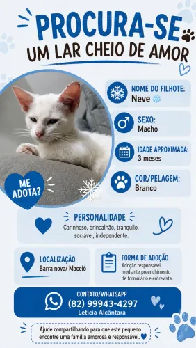 Adoção responsável filhote macho