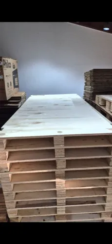 Paletes de compensado super resistentes, medida, 2.30mt por 1.10mt, entregamos com taxa.