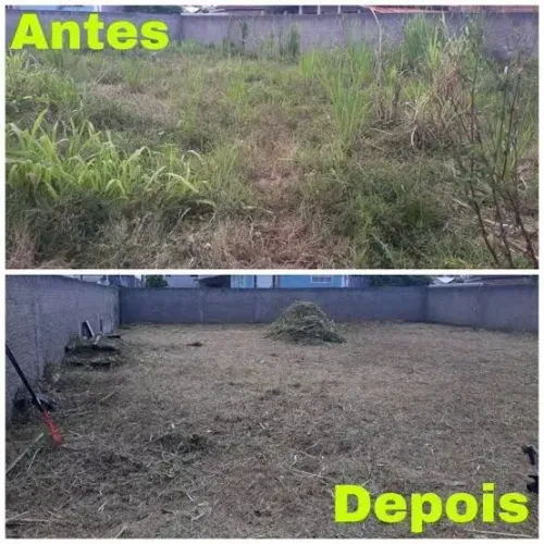 Limpeza de terreno 