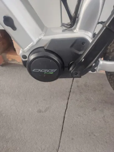 Bike Assistida