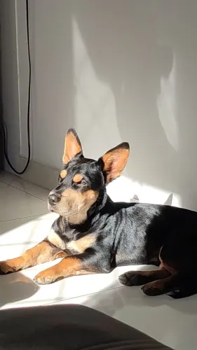 Para doação