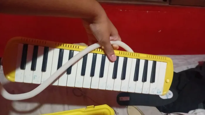 Troco ou vendo escaleta 