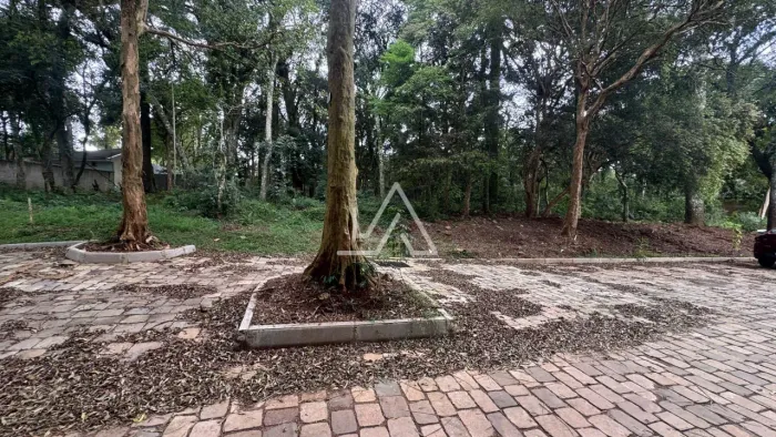 UM TERRENO NO BAIRRO LUCAS ARAUJO