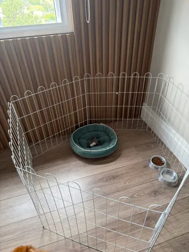 Cercado para cachorro