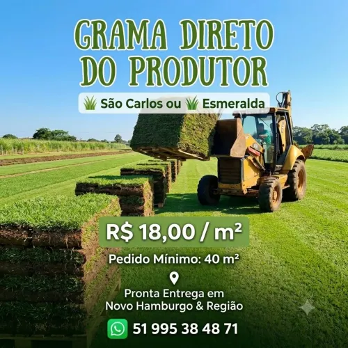 Grama Esmeralda e São Carlos - Direto do Produtor - Entrega Imediata
