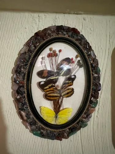 Quadro borboleta