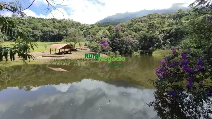 SÍTIO FORMADO COM BELA SEDE E RICO EM ÁGUA EM ENG. PASSOS-RJ