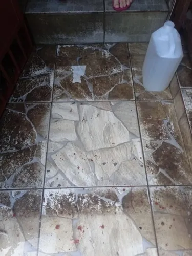 Limpa pisos