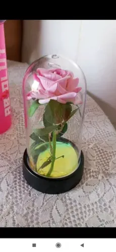 Rosa bela e a fera encapsulada 15cm 
