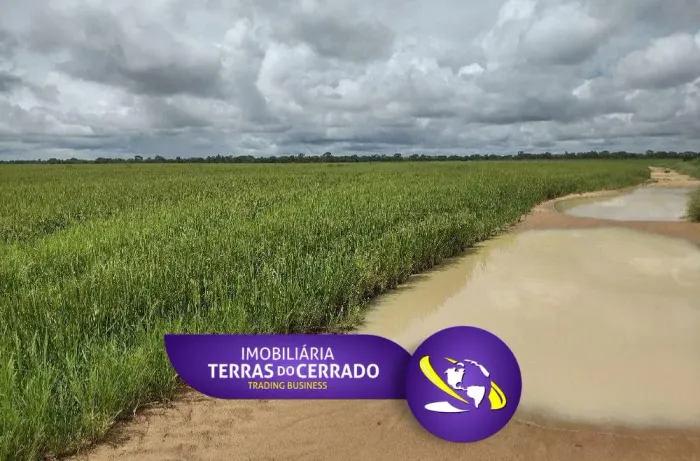 CONGLOMERADO AGRÍCOLA 5.000hec: A Melhor Área de Expansão para Grãos!!