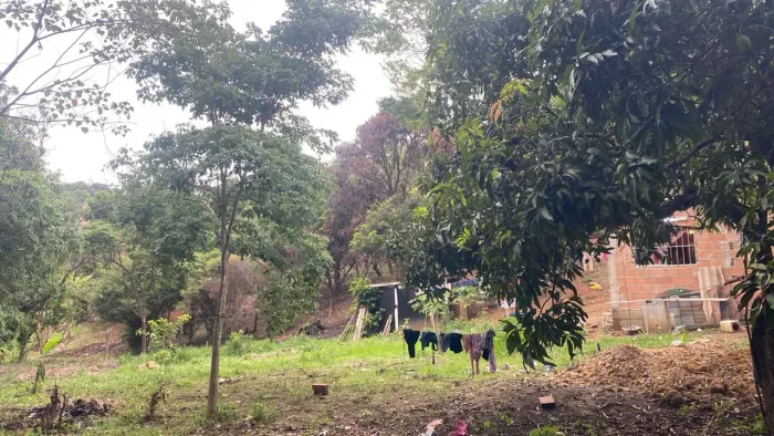 Chácara 1.000 m² de Frente para a Rua - Excelente Oportunidade por R$ 250 mil