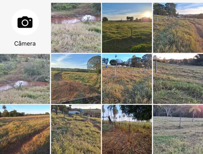 Fazenda no prata 3 milhões