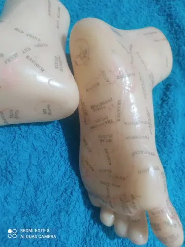 Modelo Anatômico Par De Pés Para Reflexologia - 19 Cm