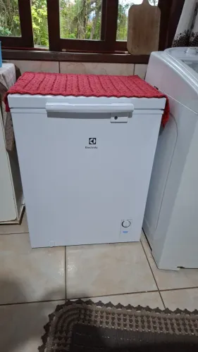 Vendo frizeer semi novo