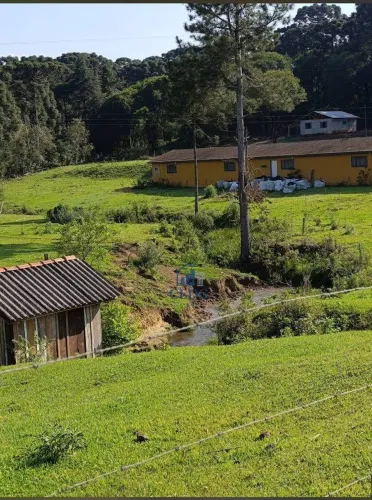 Fazenda produtiva com mais de 1.500 hectares em Prudentópolis.
