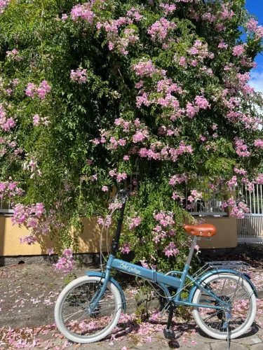 Bicicleta Dobrável Echo Vintage Carbono Azul