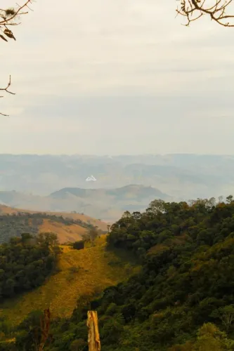 Venda de Sítio - 46.000 m² - Córrego do Bom Jesus/MG