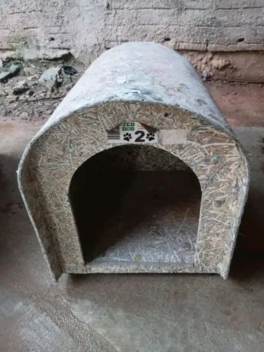 Casinha de cachorro
