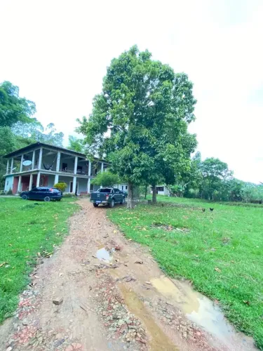 Fazenda/Sítio/Chácara para venda com 400 metros quadrados com 4 quartos