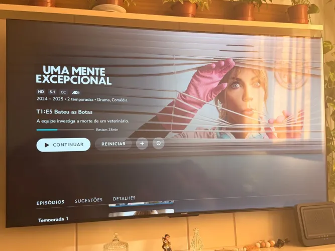 TV SMART 65 POLEGADAS