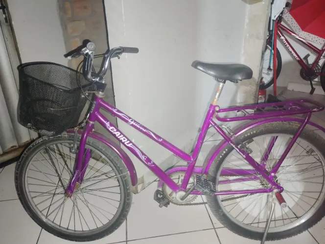Bicicleta aro 24