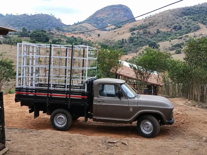 Chevrolet C-10 2.5/4.1 1978