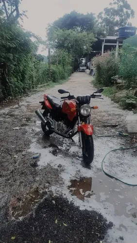 Documento tudo em dia transfere na hora só pegar e andar