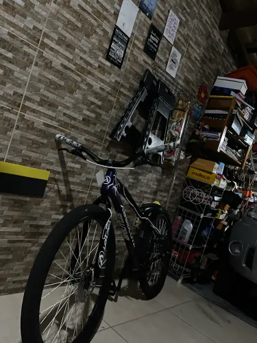 Bike 244 Absolut brutos