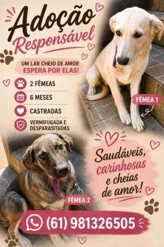 Adoção Responsável