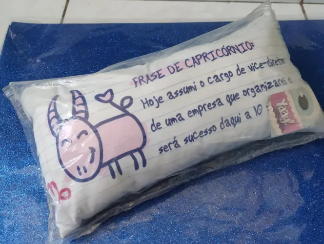 Almofada baguete signo capricórnio