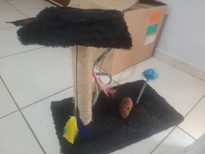 Arranhador de gatos